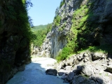 Crossing Alps 2011