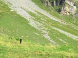 Crossing Alps 2011