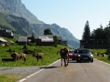 Crossing Alps 2011