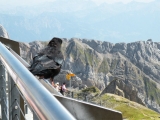 Crossing Alps 2011