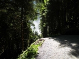 Crossing Alps 2011