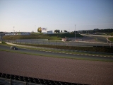 ICKE-live-on Ring