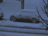 Mini im Winter