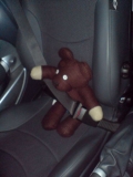Teddy Immer Dabei!