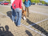 Frühlingserwachen 2006