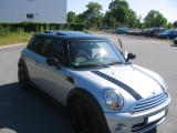 Mini Vorne 1
