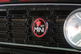 Mikes Minis