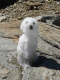 Crossing Alps 2013