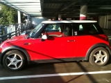 Sir Red In The Sun
