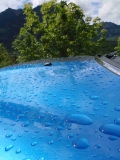 Kopie Von20100530 057