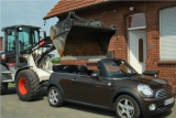 Mini Meets Bobcat 2