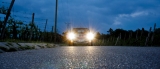 Mini By Night