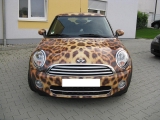 Leo-mini Folierung