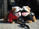 Chester & Berta
