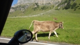 Crossing Alps