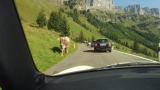 Crossing Alps