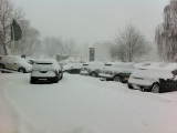 Mini´s Im Schnee
