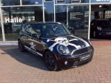 Fc St.pauli Mini In Kiel