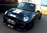 Mini Goldb700x