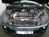 Mini Motor