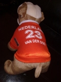 Van Der Dog