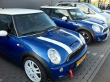 Twins