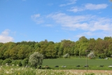 K Img 1266