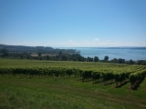 Bodensee