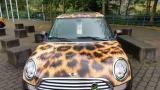 Mini Meets Nrw 2017