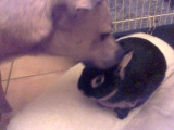 Bild017