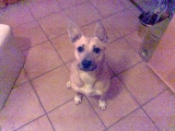 Bild020