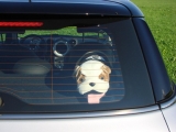 Countryman 10