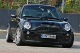 Mini  1
