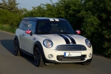 Pepper White Mit Schwarzen Streifen