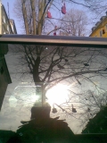 Sunshine
