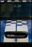 Born Under A Checkered Flag