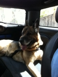 Odin Hinten
