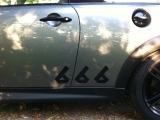 Brüllmücke 1