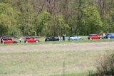 Auf Der Wiese