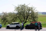 Schöner Baum