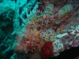 P1110695