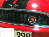Badge mit Carbonrand!