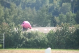 Spiderschwein