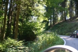 Schwarzwald