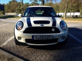 Jcw Pepperwhite