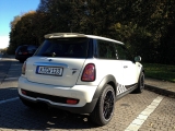 Jcw Pepperwhite