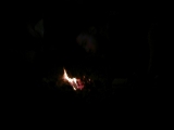 Let there be Light!