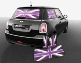 Mini  5  Web