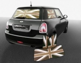 Mini  6  Web