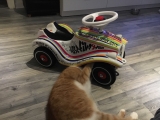 Img 0313
